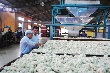 Ba yếu tố khác biệt của Cao su Đồng Phú